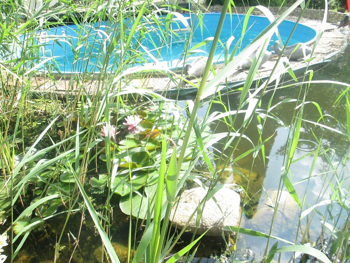 Hotel Attache Raunheim Dış mekan fotoğraf
